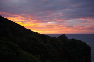 Top of Camel