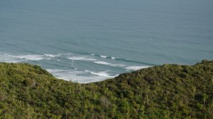 Whites Beach Rose Track