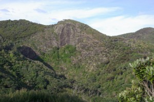 Whites Track looking inland