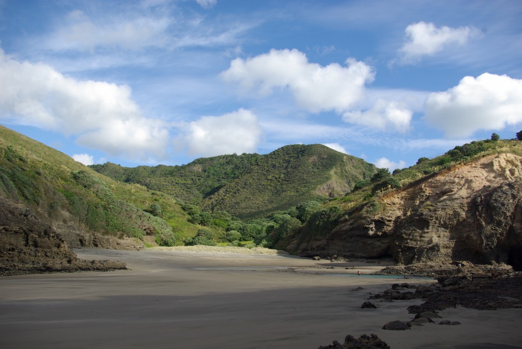 “The Gap” added to regional park Piha Piha Beach Piha New Zealand
