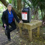 Kauri die back disease