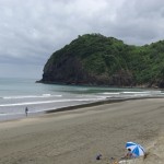 North Piha beach or Waitetura