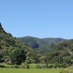 Camping on regional parks around Piha