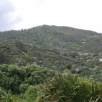 Landscape at Piha