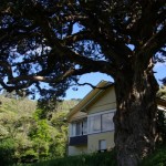 Anawhata