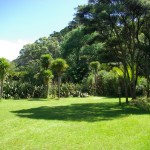 Camping on regional parks around Piha