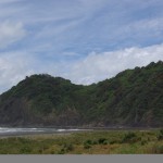 North Piha beach or Waitetura