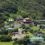 Piha’s heart – the village