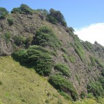 Volcanic past of Piha