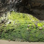 Green Rock