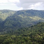 Waitakere Ranges Heritage Area Programme