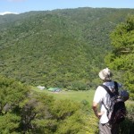 Maungaroa Lookout Track