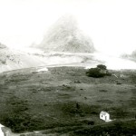 History of the Piha Domain