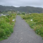 Why a gravel path in the dunes?