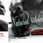 Ivar Treskon – Natural Selection, West Coast Gallery