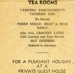 All about Stores at Piha