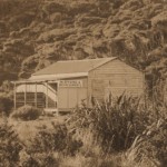 All about Stores at Piha