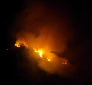 Fire at Tasman Lookout, September 2008