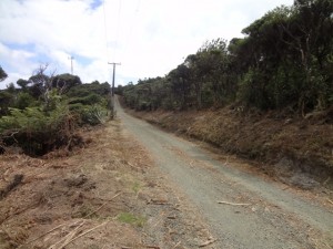 log race road