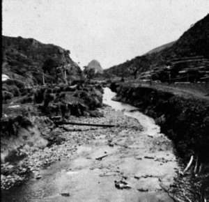 Piha Stream below Mill about 1917