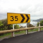 Thoughts about Piha’s diminishing natural beauty