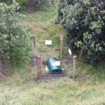 Rabbit bait stations at North Piha