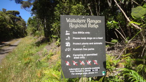 Old style regional parks sign at Ridge Road Track, a bit hobbitish, but has stood the test of time