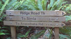 ridge road sign