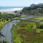 Water Quality in Piha Lagoon remains poor