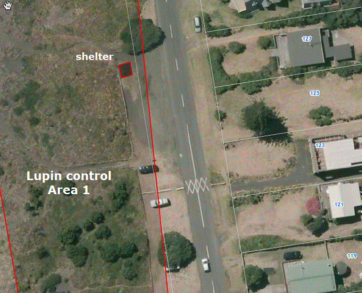 Lupin control area 1 shelter position Nov 2014