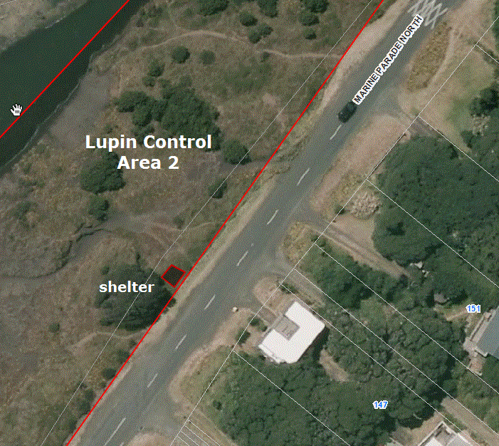 Lupin control area 2 shelter position - Nov 2014