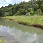 Report on big fire at Kakamatua, Waitakere Ranges Regional Park