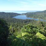 Are the Waitakere Ranges at risk from 3 Waters?